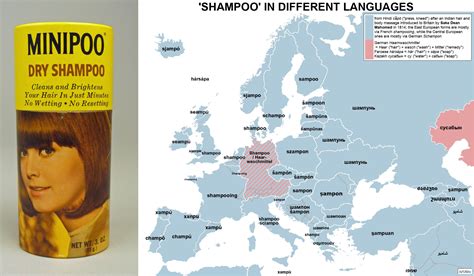 etymology shampoo|where does shampoo come from.